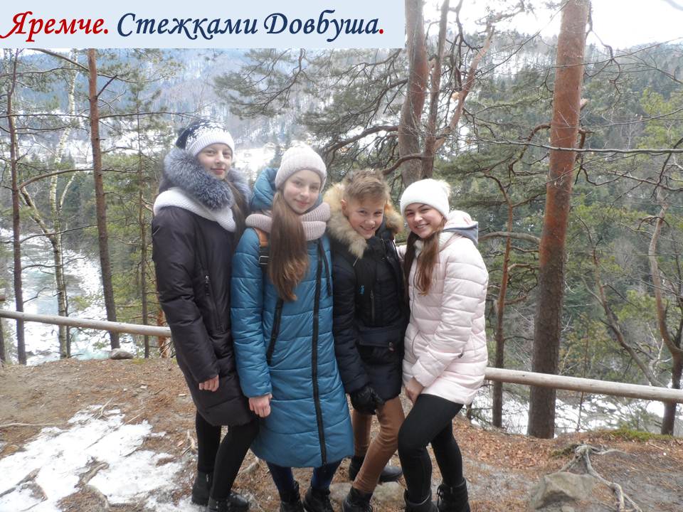 ֳ��� ��������                        