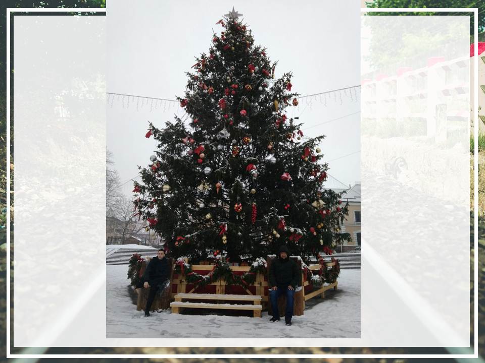 ֳ��� ��������                        
